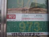 ȪӪг 973·