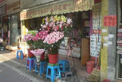 ޱޱ-3