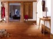 菲林格尔实木复合地板-印妙主义日花语象