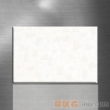 陶一郎-时尚靓丽系列-釉面砖TY45106（300*450mm）