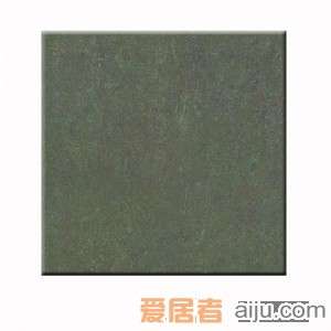 嘉俊-抛光砖系列[新微粉]CR6006（600*600MM）1