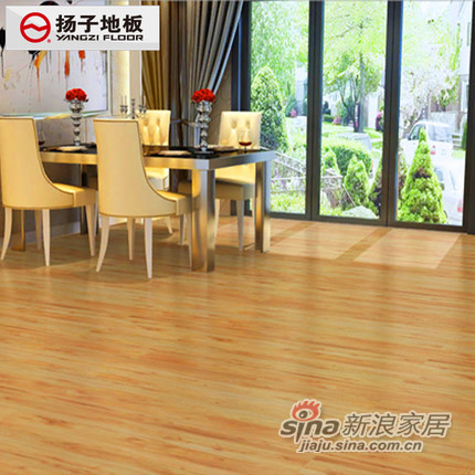 扬子地板强化地板环保木地板
