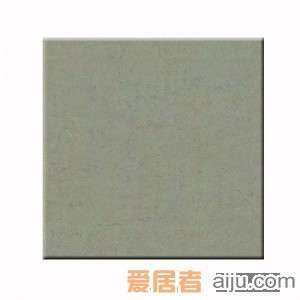 嘉俊-抛光砖系列[新微粉]CR6002（600*600MM）1
