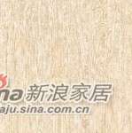 伊加瓷砖自然木纹RG600101
