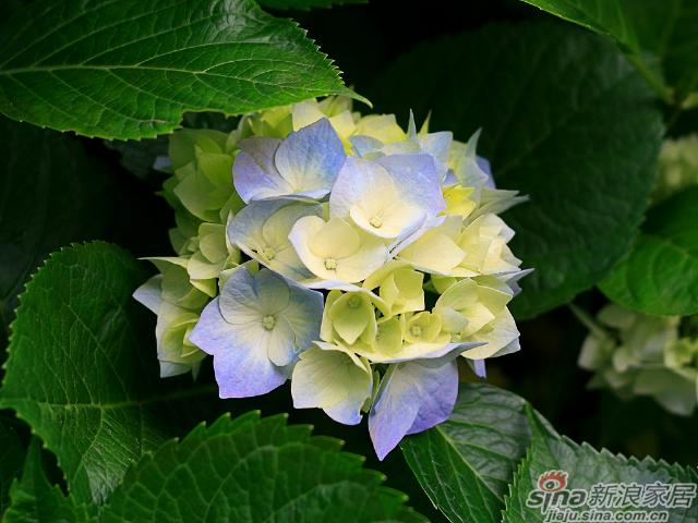 赵珊测试5187