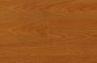 圣达强化地板乐活居生态系列―陶阿里柚木色