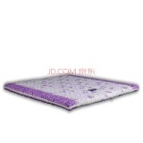 强力床垫―拆装式软棕垫 双人1.8*2.0 1800*2000