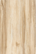 博德木纹砖-现代木系列