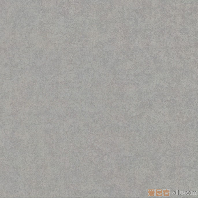 嘉俊陶瓷大地砖-EP6003（600*600MM）