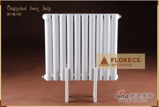 佛罗伦萨 但丁 钢制暖气片家用壁挂式散热器暖气-0