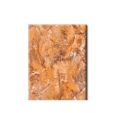 红蜘蛛瓷砖-墙砖-RY43056（300*450MM）