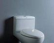 澳斯曼卫浴产品AS-1250+1633B座厕浴室柜