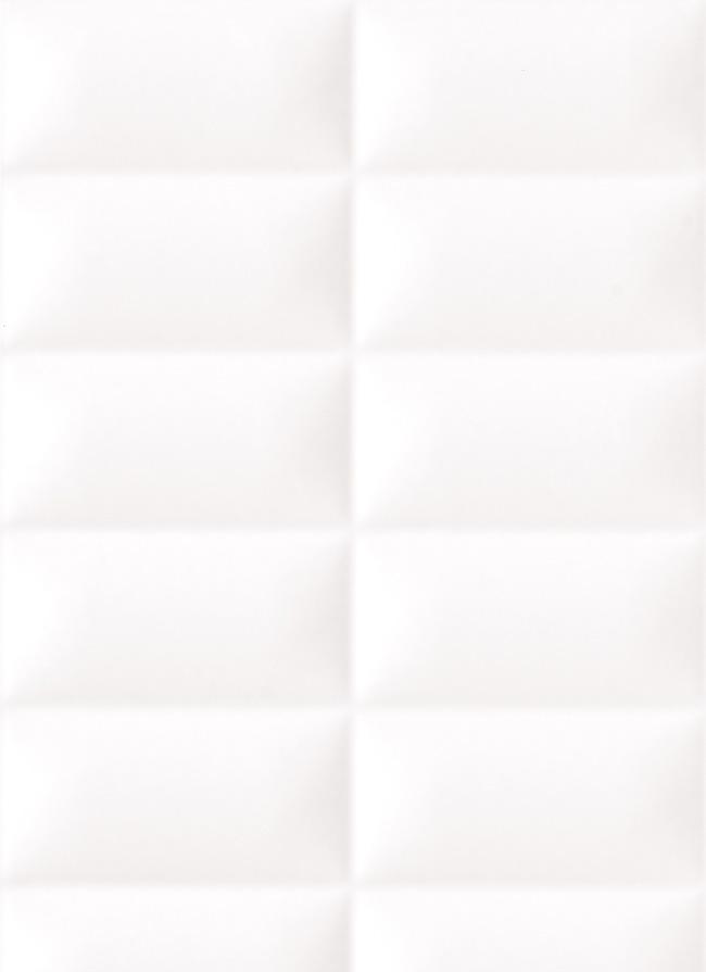 升华内墙砖“一米印象”迷宫系列SA45800(300x45SA45800
