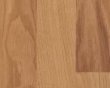 瑞嘉强化复合地板锁扣王标准型莱茵栗木