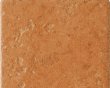 赛德斯邦艾玛系列CSX3021515内墙釉面砖