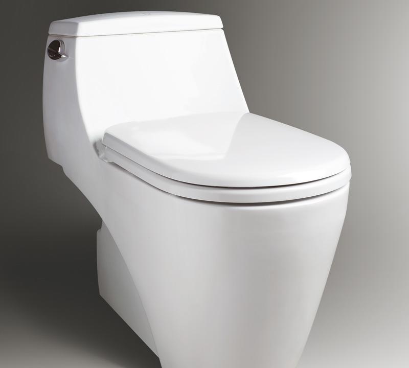 乐伊马桶Toilet彼得堡系列T100CT100C