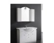 箭牌PVC浴室柜(柜+盆)AP305G-APG305