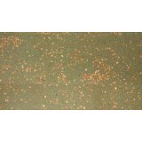 静林林洋软木地板 绿满天星LCS23