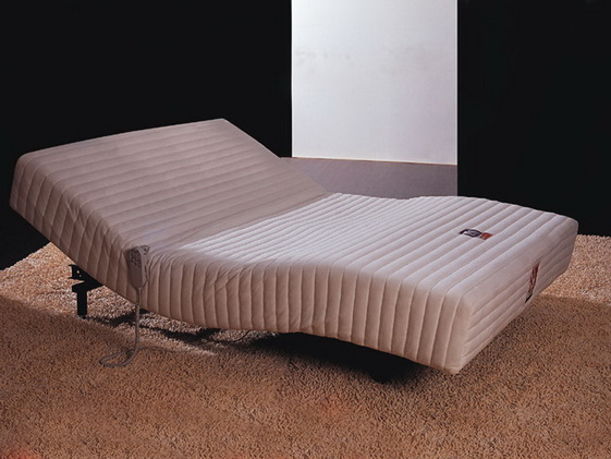 电动睡床（椰棕，德国OKIN马达）