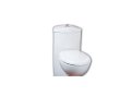 美标CP-2066节水型加长连体座厕（新）