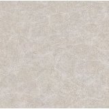 欧神诺地砖-艾蔻之湄叶系列-ES202（600*600mm）