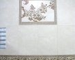 法诺亚RA05206花蝶墙砖