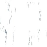 维罗地面抛光砖雪莲花系列C+XAP007（1000×1000