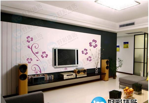 好彩电视墙贴HC-LJ-DSQ-0902-02（绽放）