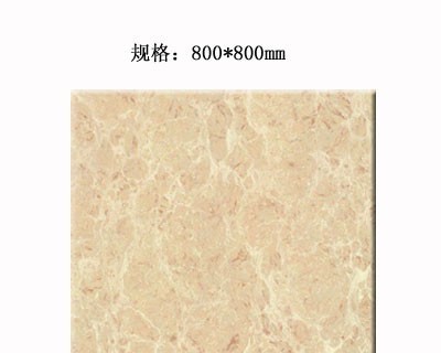 嘉俊-抛光砖系列[九龙壁]SK8002（800*800MM）SK8002