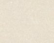 大将军天星钻M88506内墙釉面砖