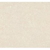 大将军天星钻M88506内墙釉面砖